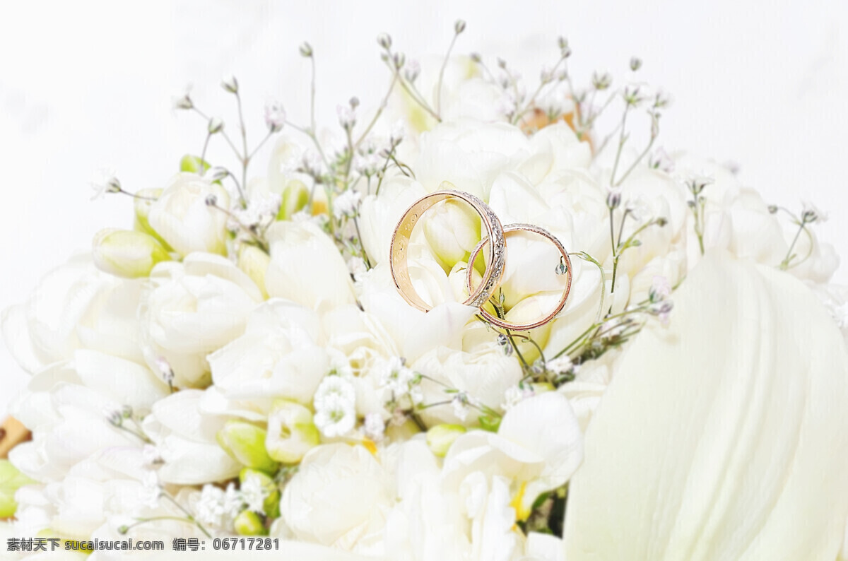 白色 玫瑰花 结婚 戒 婚礼戒指 对戒 结婚戒指 白色玫瑰花 美丽鲜花 鲜花摄影 美丽花卉 浪漫温馨 花草树木 生物世界
