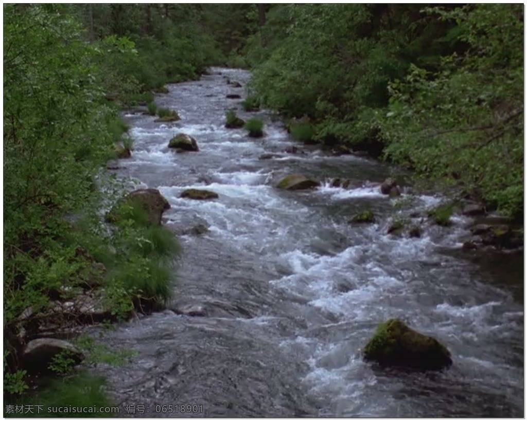 河流 动态 视频 水流 绿色 岩石 视频素材 动态视频素材