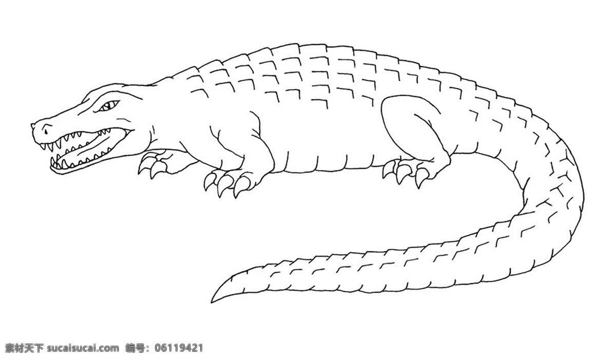 鳄鱼 插画 科普 冷血动物 凶猛 生物世界 野生动物