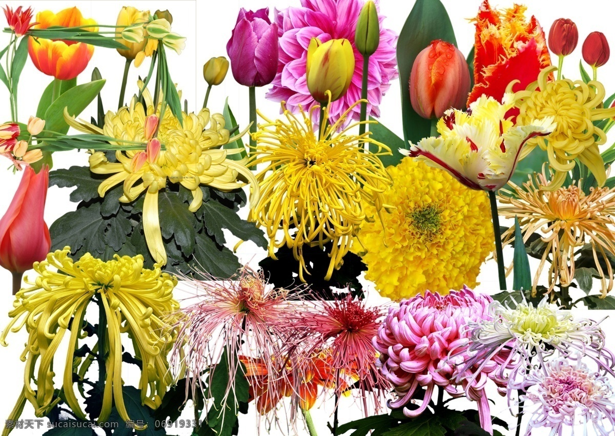 分层 百合 插花 干净 高分辨率 高清晰 红 花 鲜花 模板下载 菊花 玫瑰 黄 绿 一束花 鲜花大合集 美感 自然 生态 植物世界 花花世界 鲜艳 夺目 漂亮 源文 源文件 psd源文件