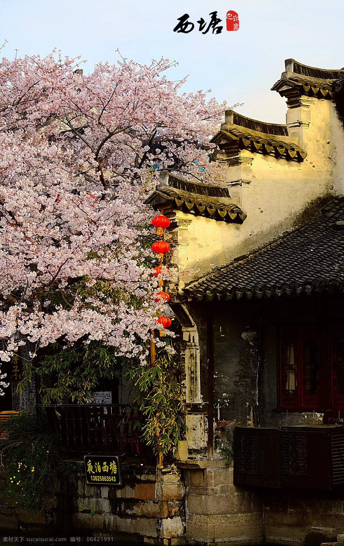 西塘 西塘古镇 古镇 水乡 江南小镇 船 樱花 旅游摄影 国内旅游