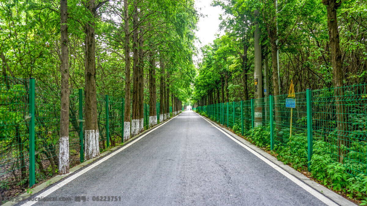 道路 公路 马路 背景 海报 素材图片