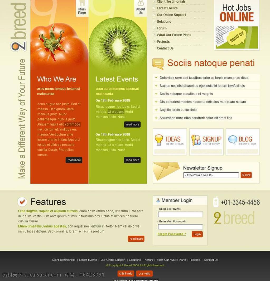欧美 网页设计 psd分层 欧美风格 欧美模板 欧美网页设计 水果 网页 网页模板 源文件 网页素材