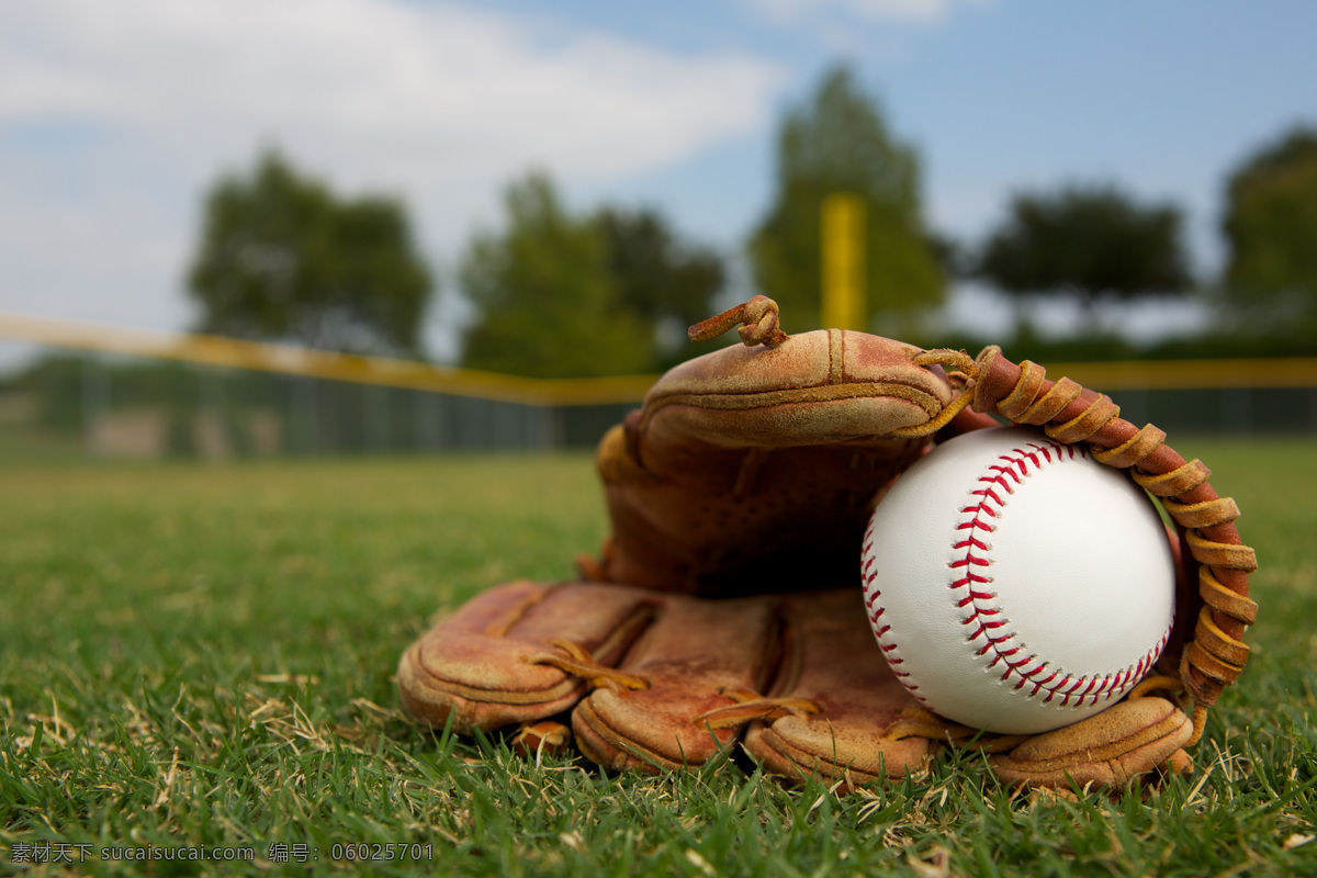 草地 上 棒球 棒球运动 棒球手套 体育运动 体育项目 球类运动 生活百科