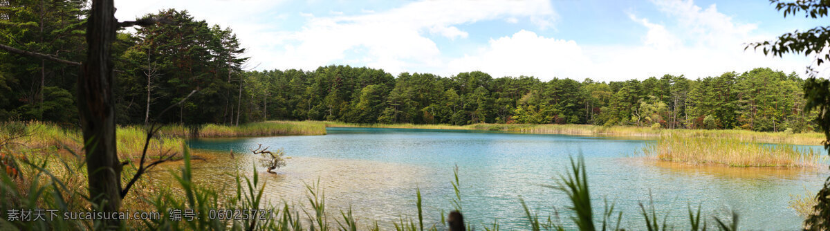 自然风光 摄影图片 河水 树林 河流 风景 景区 休闲 旅游 山水风景 风景图片