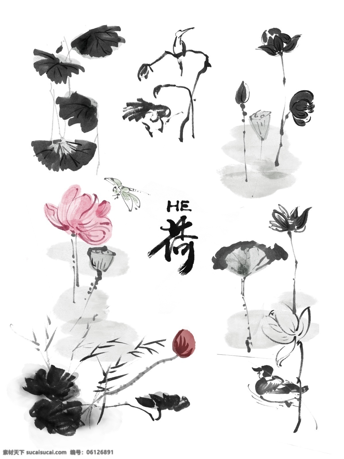 中国画 写意 荷花 荷叶 水墨 套 图 传统 古风 中国风 古代 绘画 东方 墨 花卉 植物 夏天 商业 原创 套图