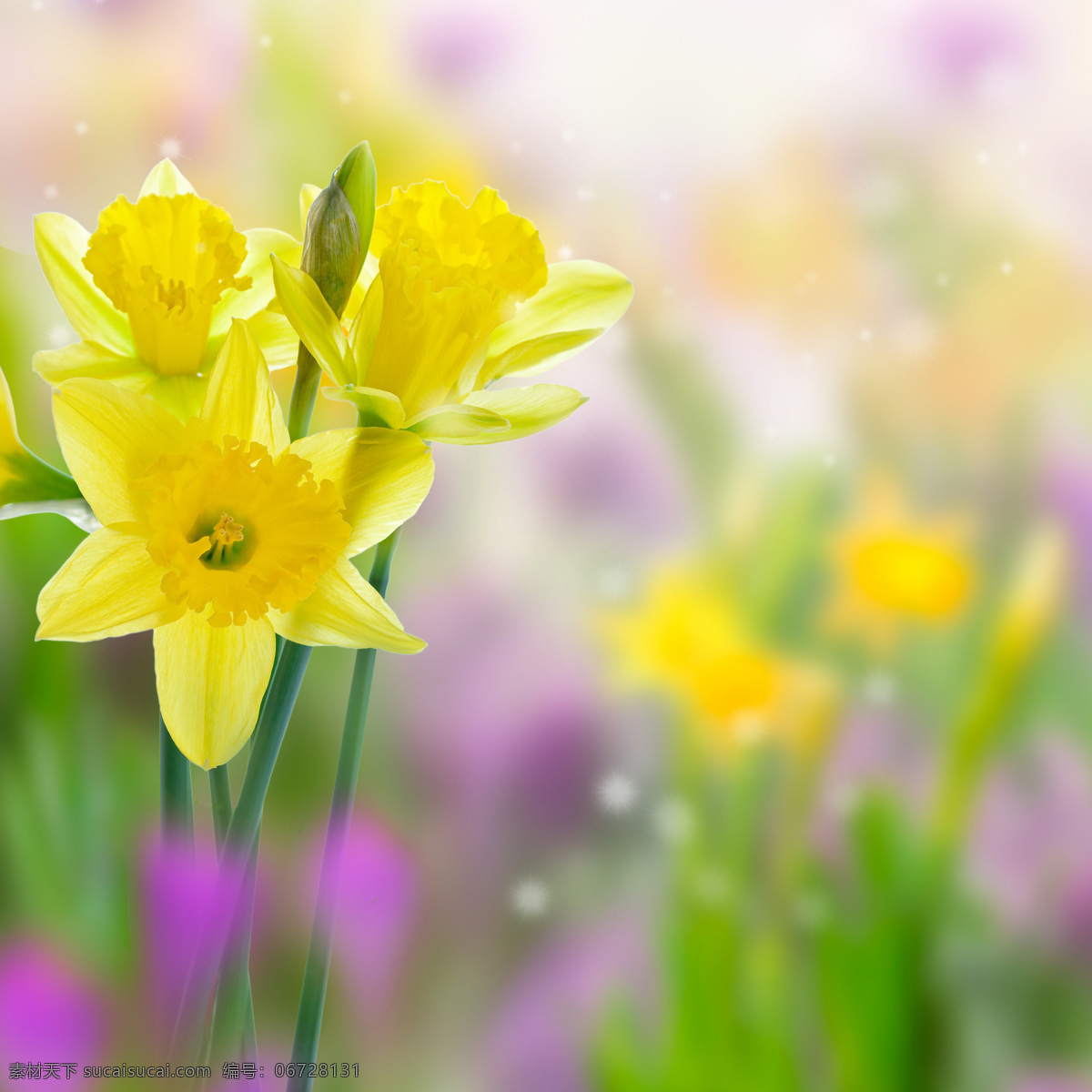 美丽鲜花背景 春天 春季 鲜花背景 花朵 花卉 梦幻背景 花草树木 生物世界 黄色