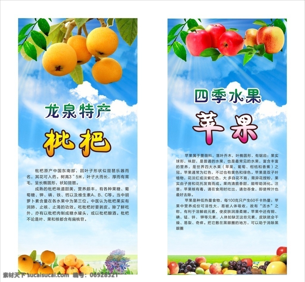 水果广告 水果背景 水果设计 水果画圈 新鲜水果 天空背景 枇杷 苹果 葡萄 柚子 四季水果 龙泉特产 蓝天 白云