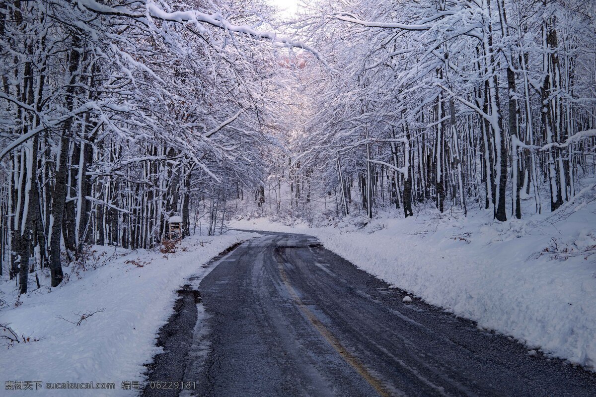白色冬天图片 冬天 白色 雪 积雪 道路 马路 公路 公共交通 雾凇 冰条 结冰 霜 树木 沥青路 圣诞节素材 天气 光线 自然 风景 大自然 景色 自然景观 自然风景