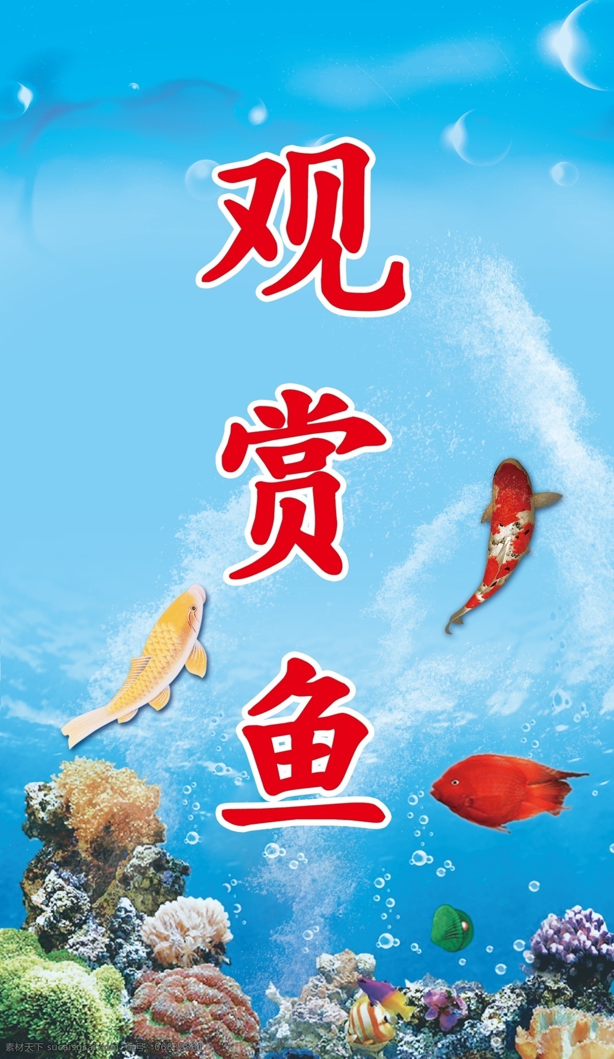 观赏鱼 鱼 珊瑚 蓝色背景 海洋 鲤鱼 气泡 展板模板 广告设计模板 源文件