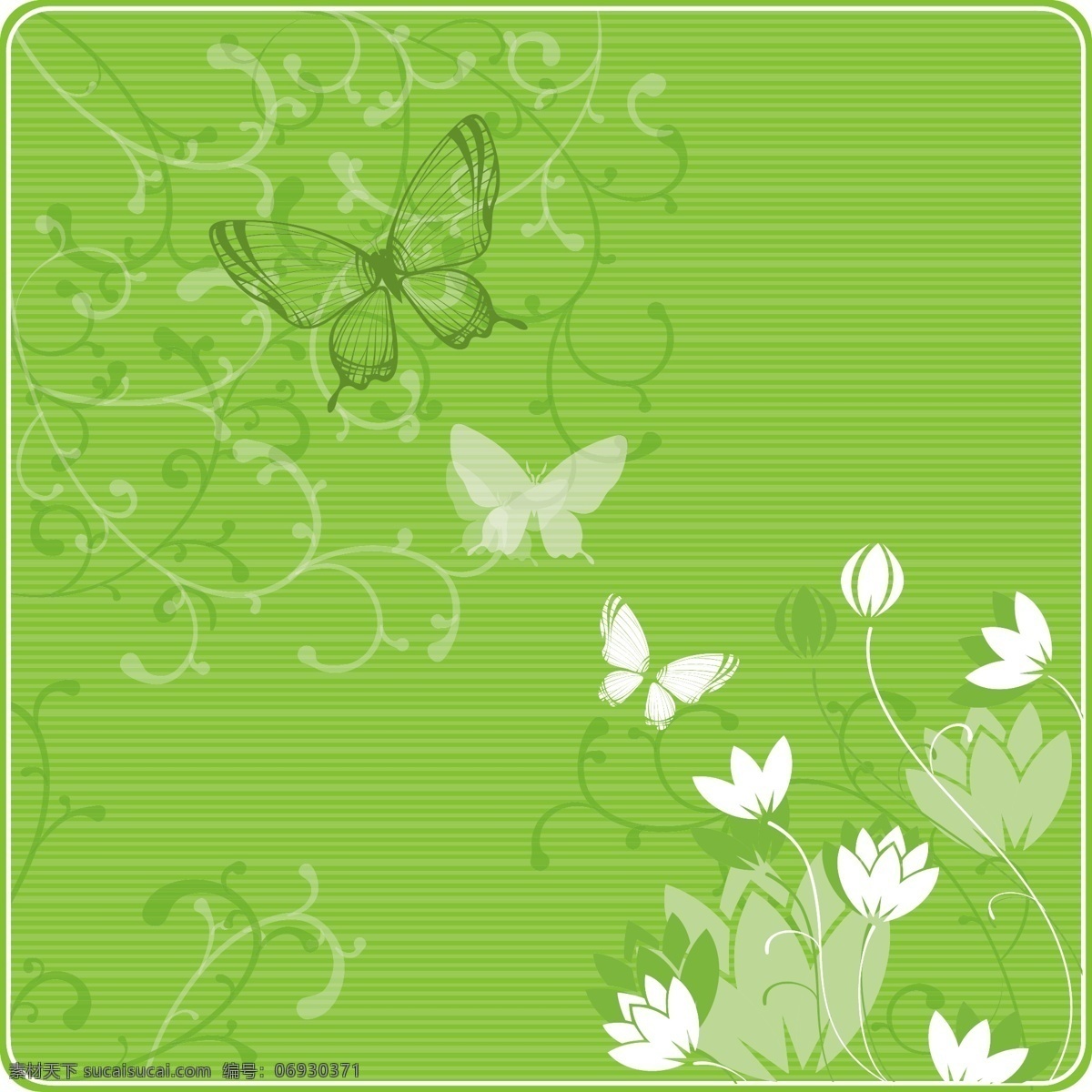 蝴蝶花纹 剖噶克夭 绿色