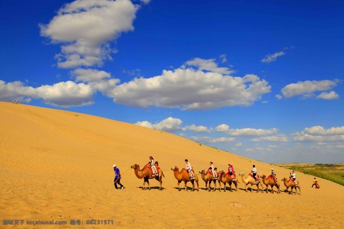 沙漠 骆驼 旅游 观光 蓝天 旅游摄影 国内旅游