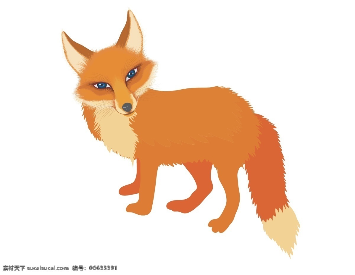 卡通 可爱 狐狸 元素 动物 矢量元素 手绘 尖耳朵 细眼 ai元素