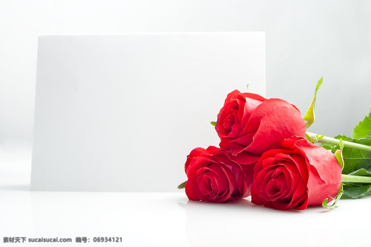 红玫瑰 花 玫瑰 鲜艳的玫瑰 花朵 花儿 红花 情人节的礼物 晶莹剔透的花 花草树木 生物世界