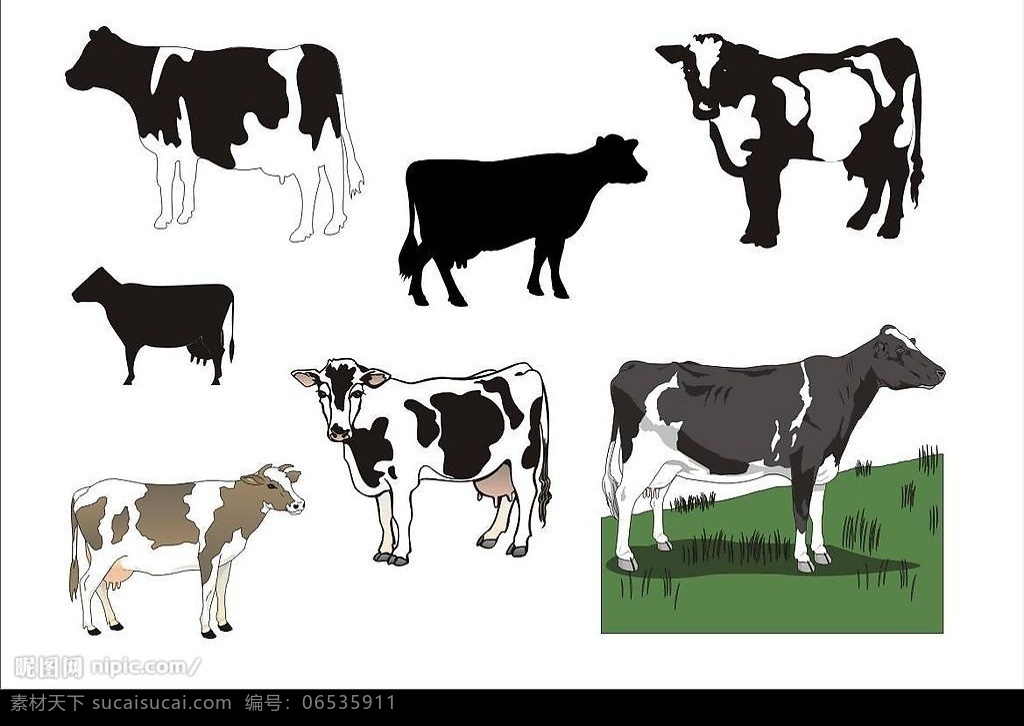精选 coreldarw 矢量图 家畜 奶牛 牛 生物世界 家禽家畜 矢量 动物 矢量图库