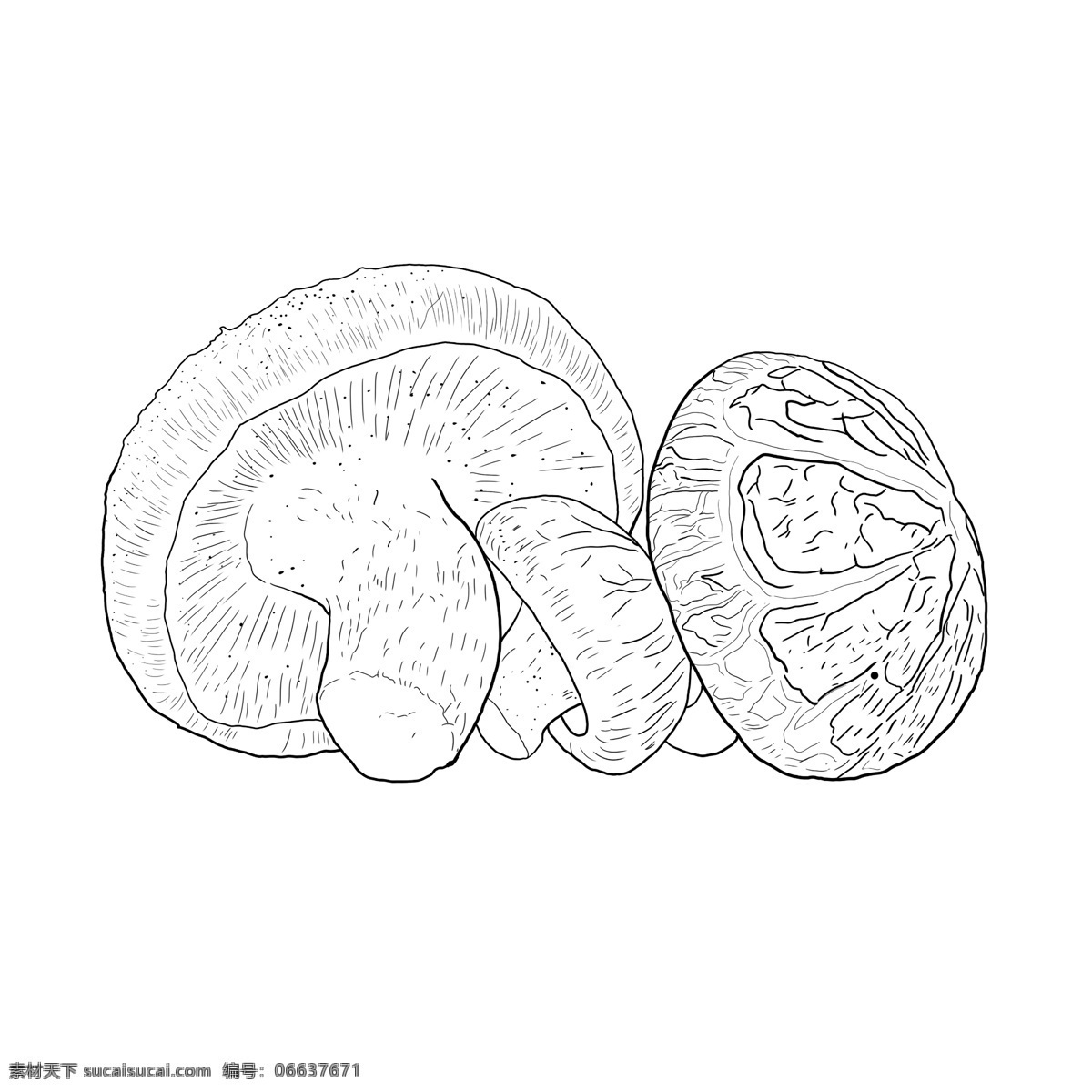 香菇图片 香菇 花菇 手绘香菇 植物 菌 食用菌 菇 蘑菇