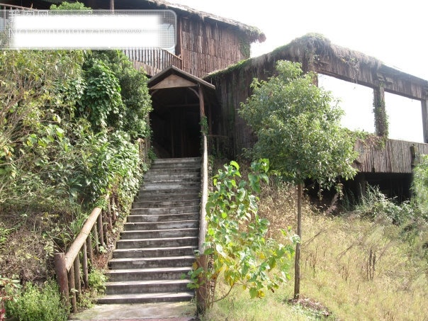 阶梯免费下载 草 杭州 阶梯 旅游摄影 群山 摄影图 树 小木屋 余杭 娘娘山 甘林水库 杭州旅游 风景图片 风景 生活 旅游餐饮