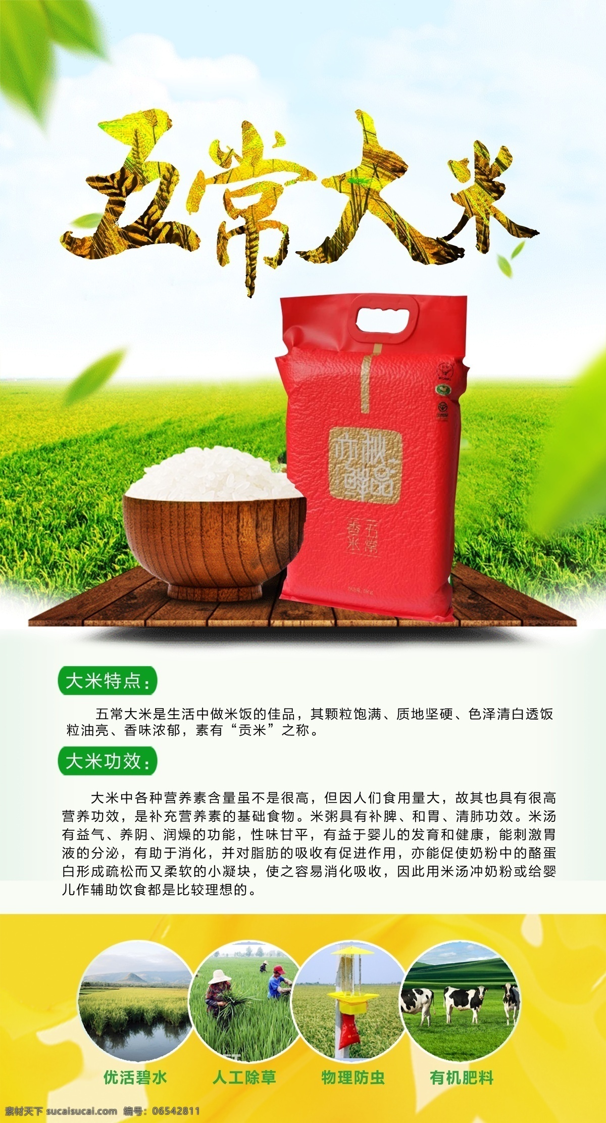 五常大米海报 大米 五常大米 海报 大米功效 优点 稻田 分层