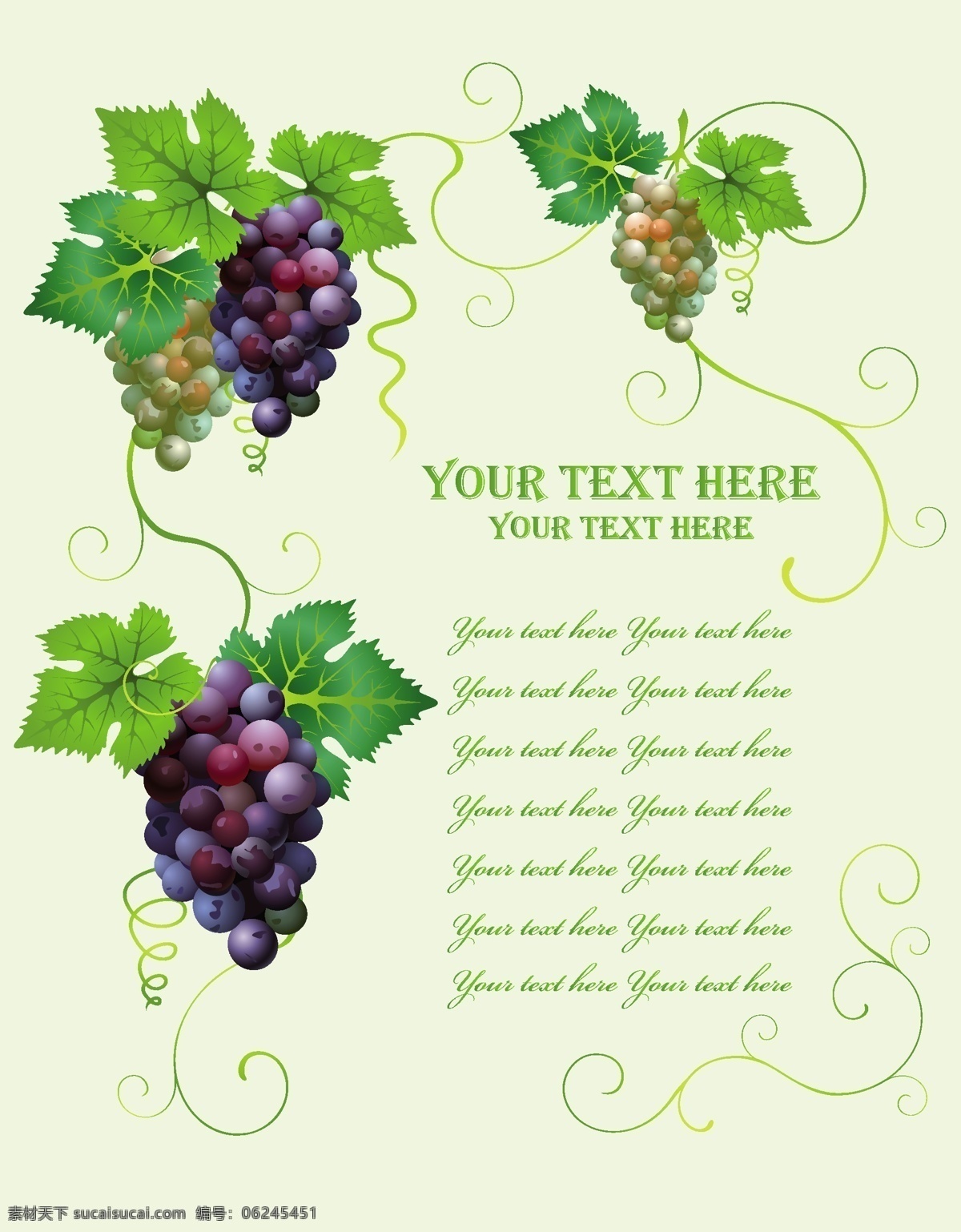 葡萄 矢量 绿葡萄 葡萄酒 葡萄叶 矢量图 日常生活