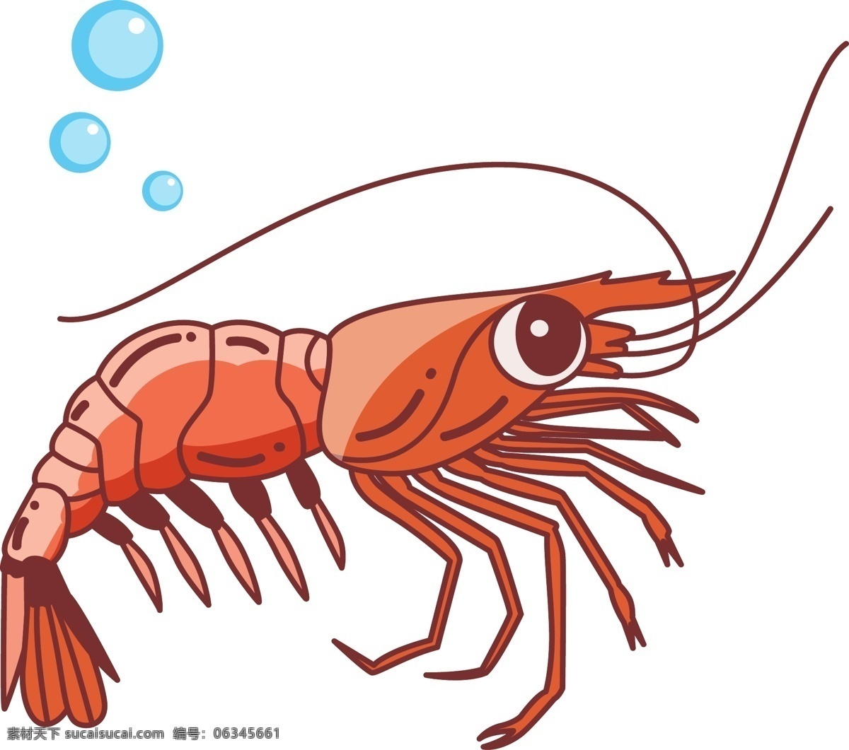 小龙虾 矢量 手绘 海鲜 插画 生物世界 海洋生物