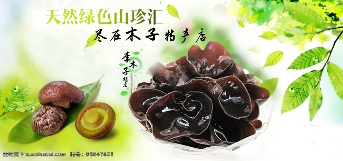 天然 特产 黑木耳 淘宝 banner 菌类 绿色 电商 天猫 淘宝海报