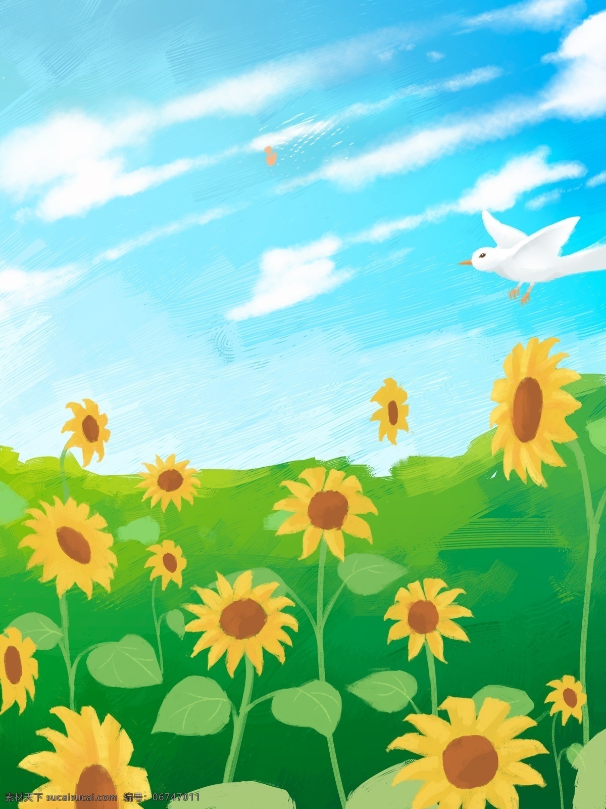 唯美 小 清晰 植物 花卉 背景 插画背景 植物背景 草地背景 绿地背景 蓝天白云 花卉背景