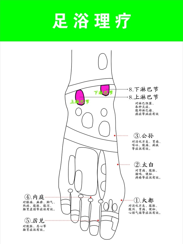 足浴理疗 足浴示意图 厉兑 内庭 太白 公孙 大都 上淋巴节 下淋巴节 矢量