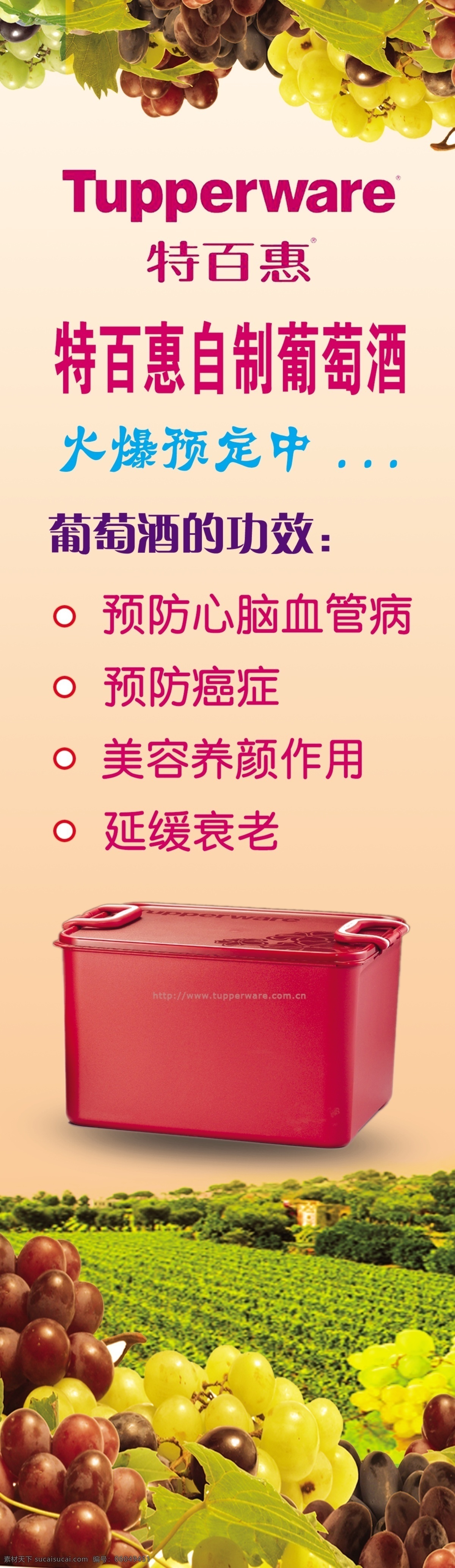 x展架 广告设计模板 葡萄 葡萄酒展架 葡萄园 特百惠 源文件 展板背景 展板模板 展架 特百惠标志 自制葡萄酒 psd源文件 包装设计