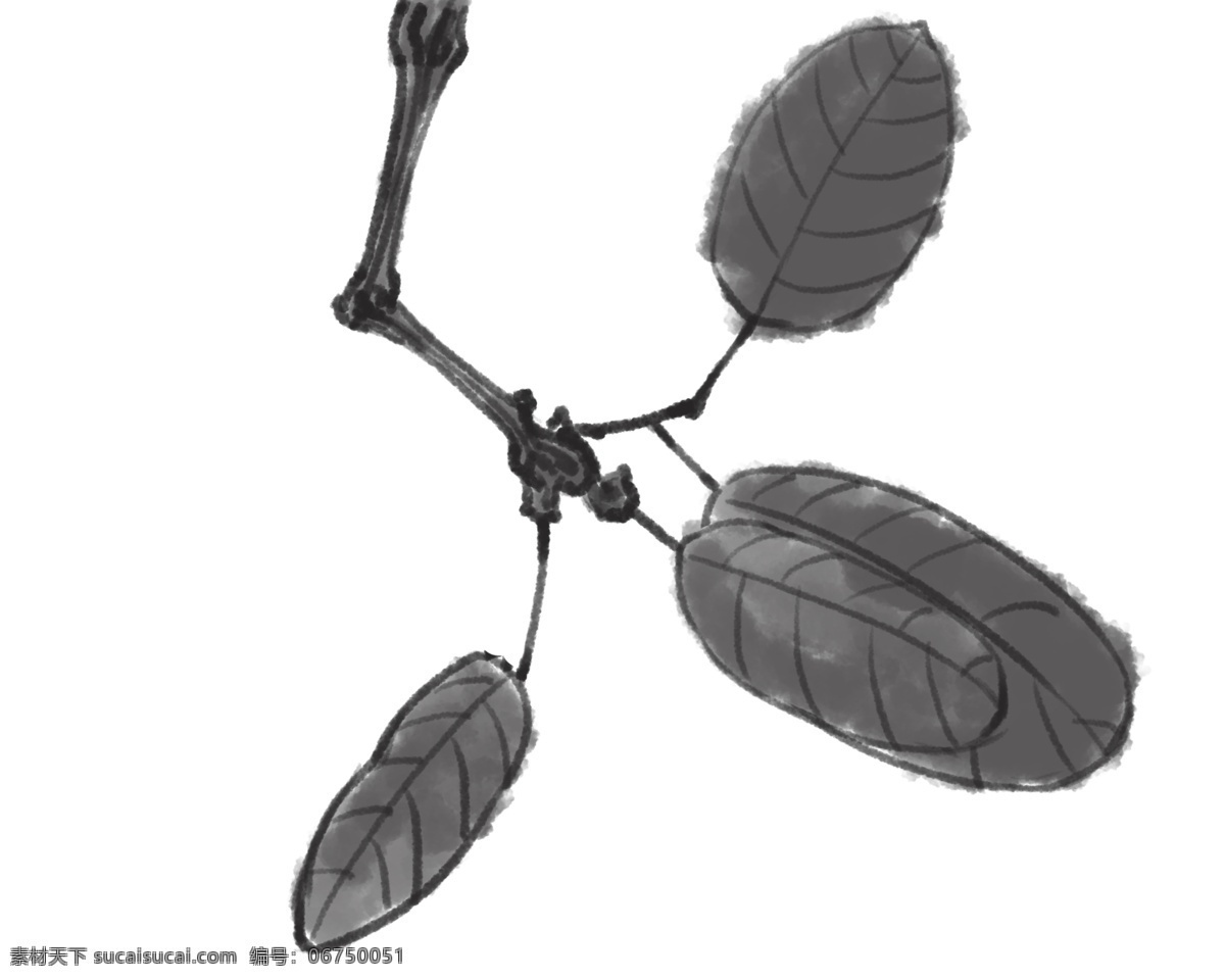 精美 水墨 树枝 插画 中国 风 植物 卡通植物插画 树叶 水墨植物 创意植物插画 树叶插画