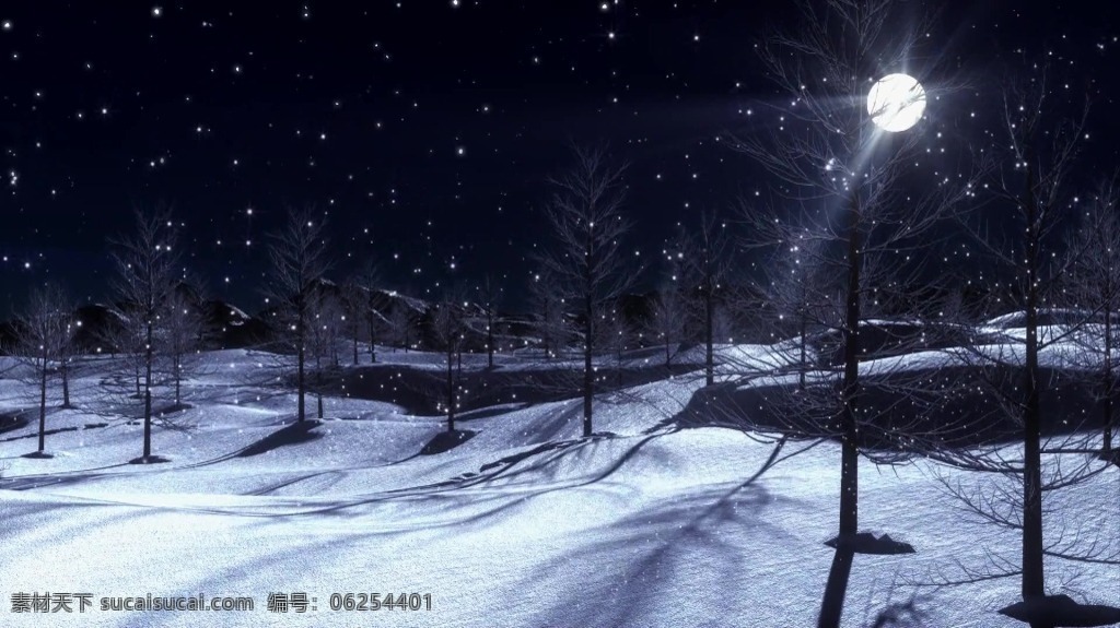 森林 雪景 夜景 风光 视频 视频背景 实拍视频 视频素材 视频模版 夜景视频