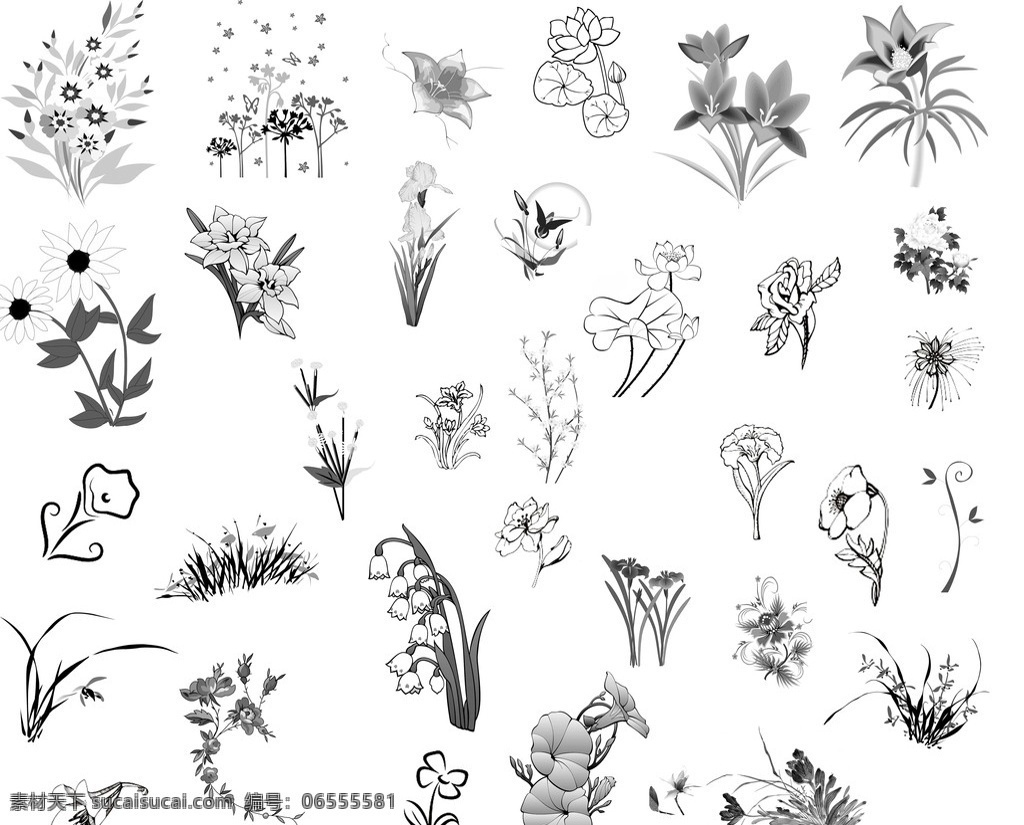 黑白插画素材 黑白 插画 花 植物 分层 源文件