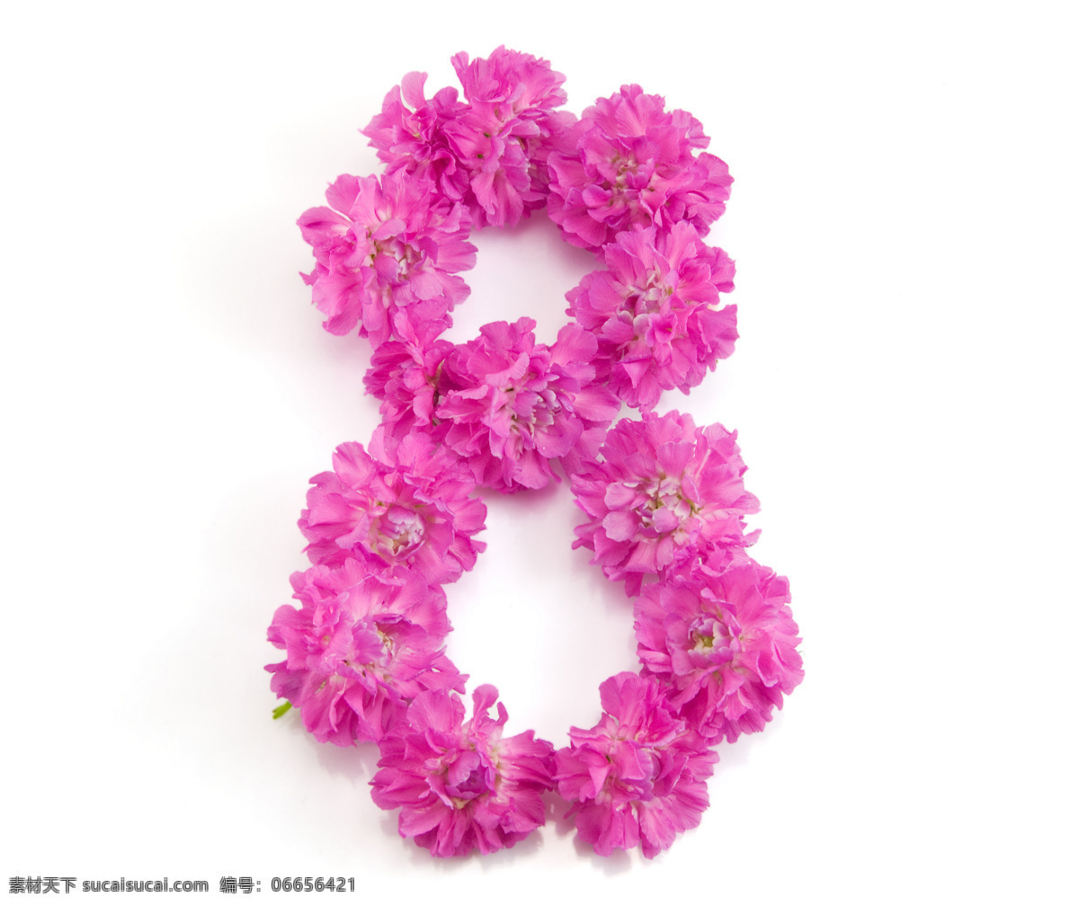 花朵 组成 字形 3月8日 8字形 妇女节 节日素材 高清图片 节日庆典 生活百科