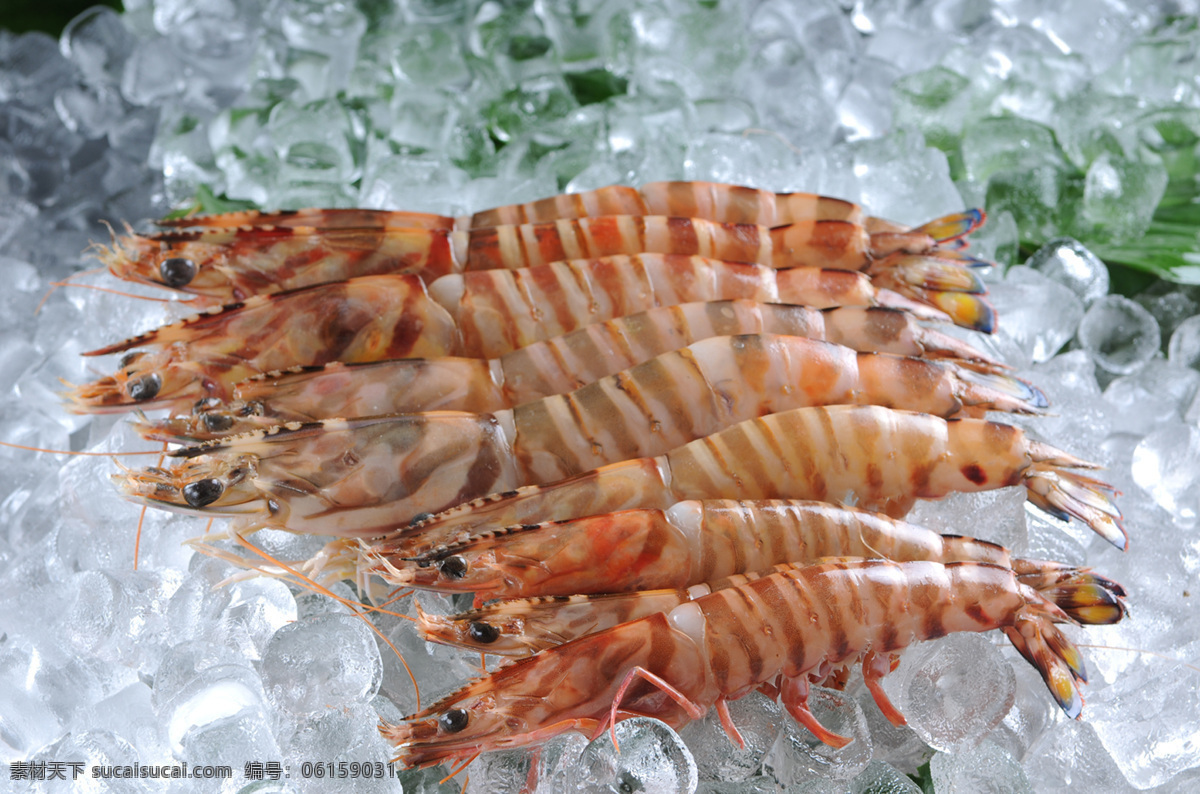 对虾 鲜活 海鲜 新鲜海产品 水产品 生物世界 鱼类