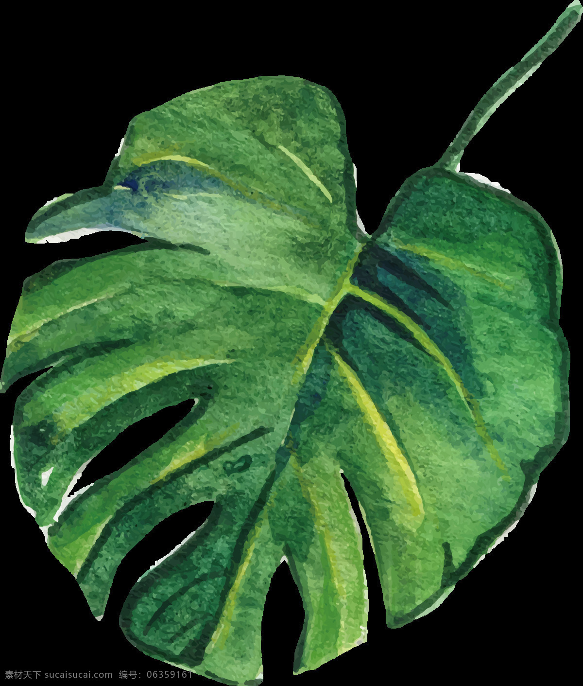 森 系 北欧 热带雨林 手绘 水彩 树叶 森系 动画 水粉 插画 免扣素材 设计素材 生物世界 花草