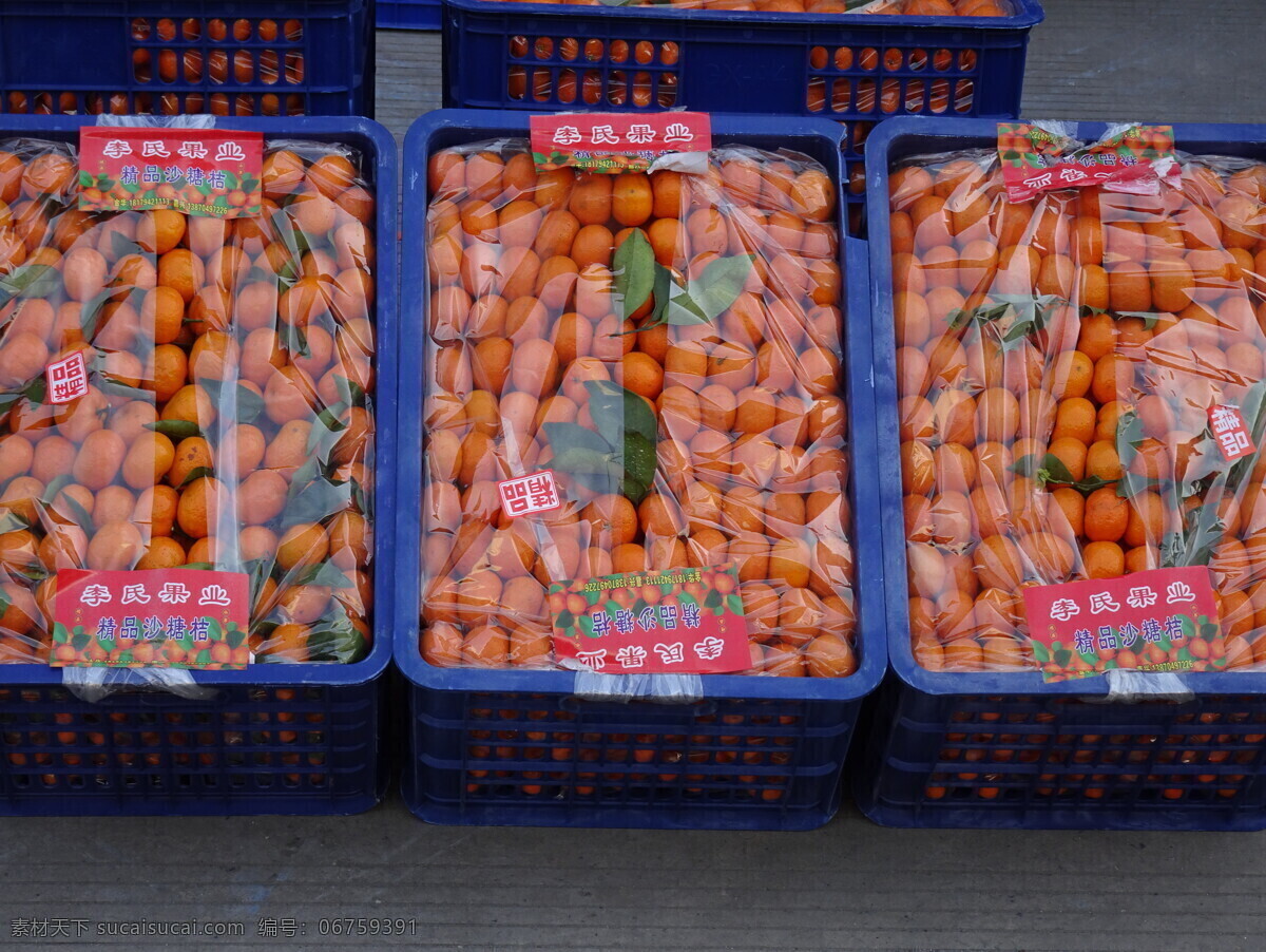 橘子 蔬菜 新鲜 食品 绿色 农业 青菜 植物 素食 维生素 有机蔬菜 菜叶 瓜 蛋 鸡蛋 菜市场 肉 菜地 菜园 生物世界