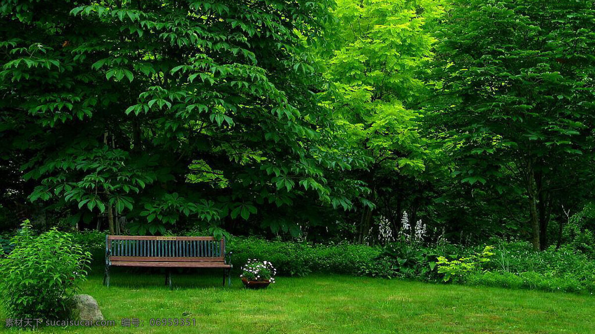 唯美 绿色 公园 风景 树木 长椅