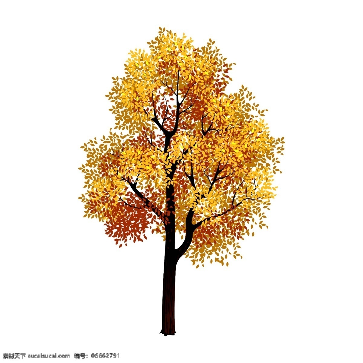 清新 水彩 秋季 树木 卡通 透明 秋叶 枫叶 黄色 透明素材 秋天元素 落叶元素 png免抠图