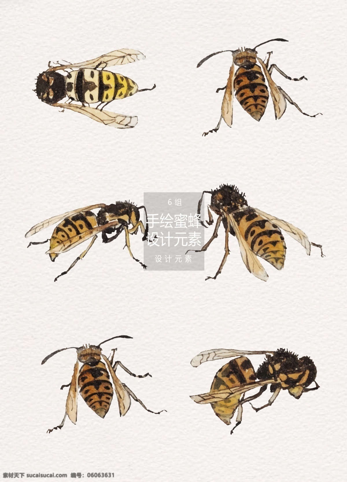 手绘 蜜蜂 元素 手绘素材 昆虫 采蜜 设计元素 手绘蜜蜂