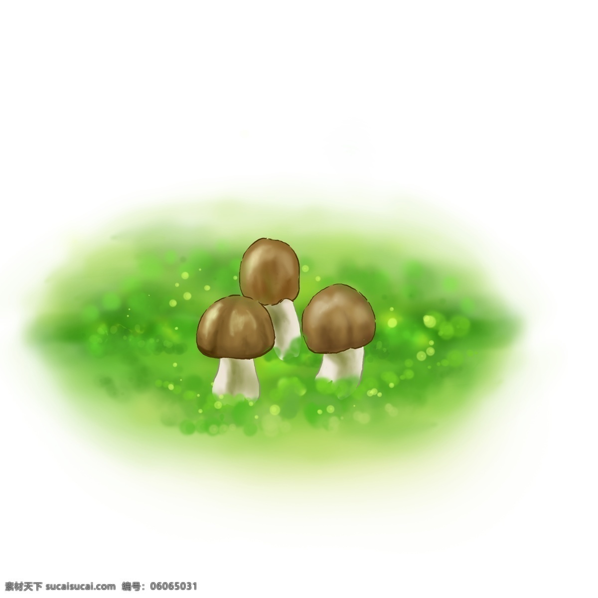 春天 手绘 蘑菇 插画 绿色 草地 苔藓 雨林 树林 林子 菌类 特写 清新 自然 食物 植物