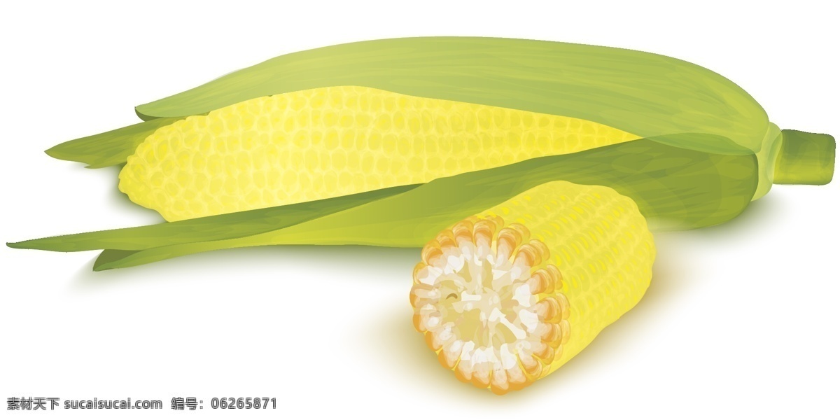卡通 小 清新 玉米 元素 食物 农作物 食品 绿叶 手绘 ai元素 矢量元素