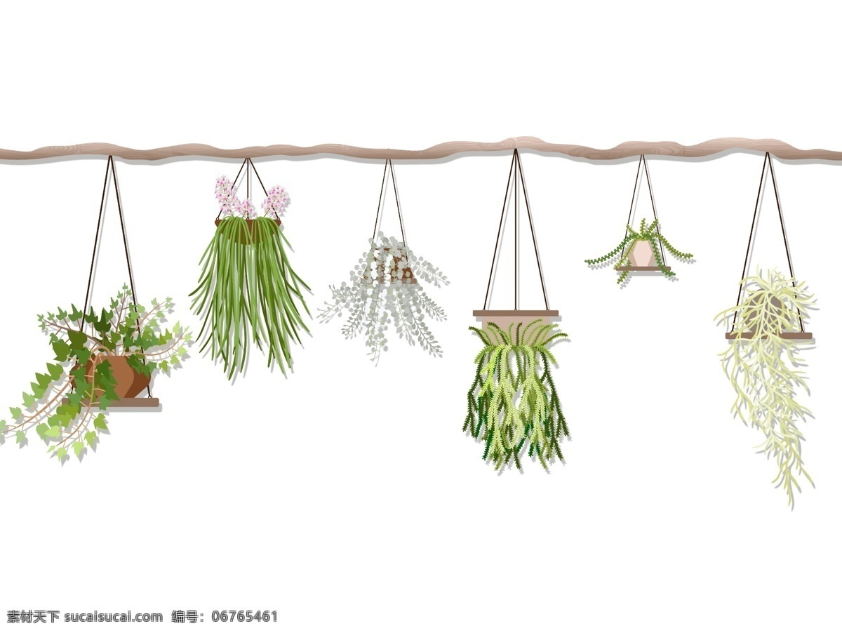 吊篮植物图片 植物 花 吊篮 盆栽 装饰 小物件 花草 居家 办公室 生物世界