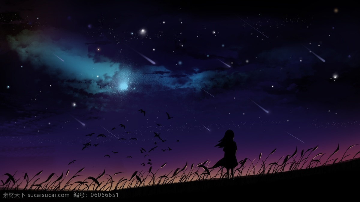 梦幻 星空 流星雨 下 许愿 女孩 手绘 插画 星星 宇宙 夜空 治愈 夕阳