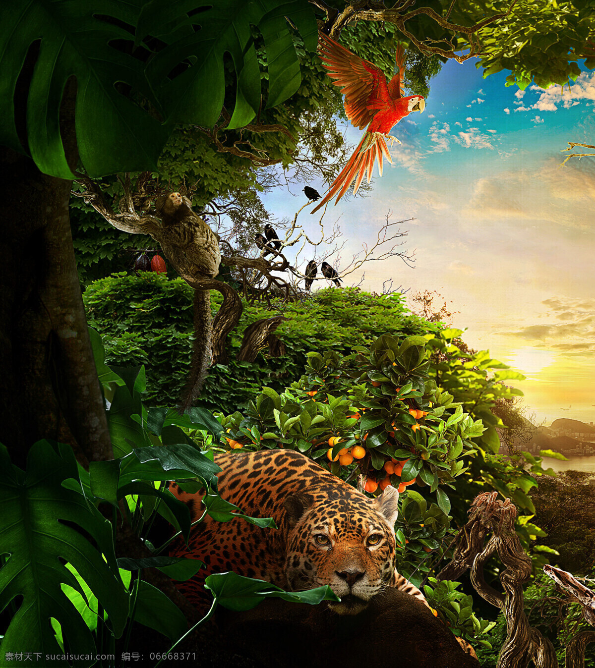 梦幻 绿色 森林 老虎 背景 小清新 日出 阳光 绿色森林 红色鹦鹉 保护野生动物