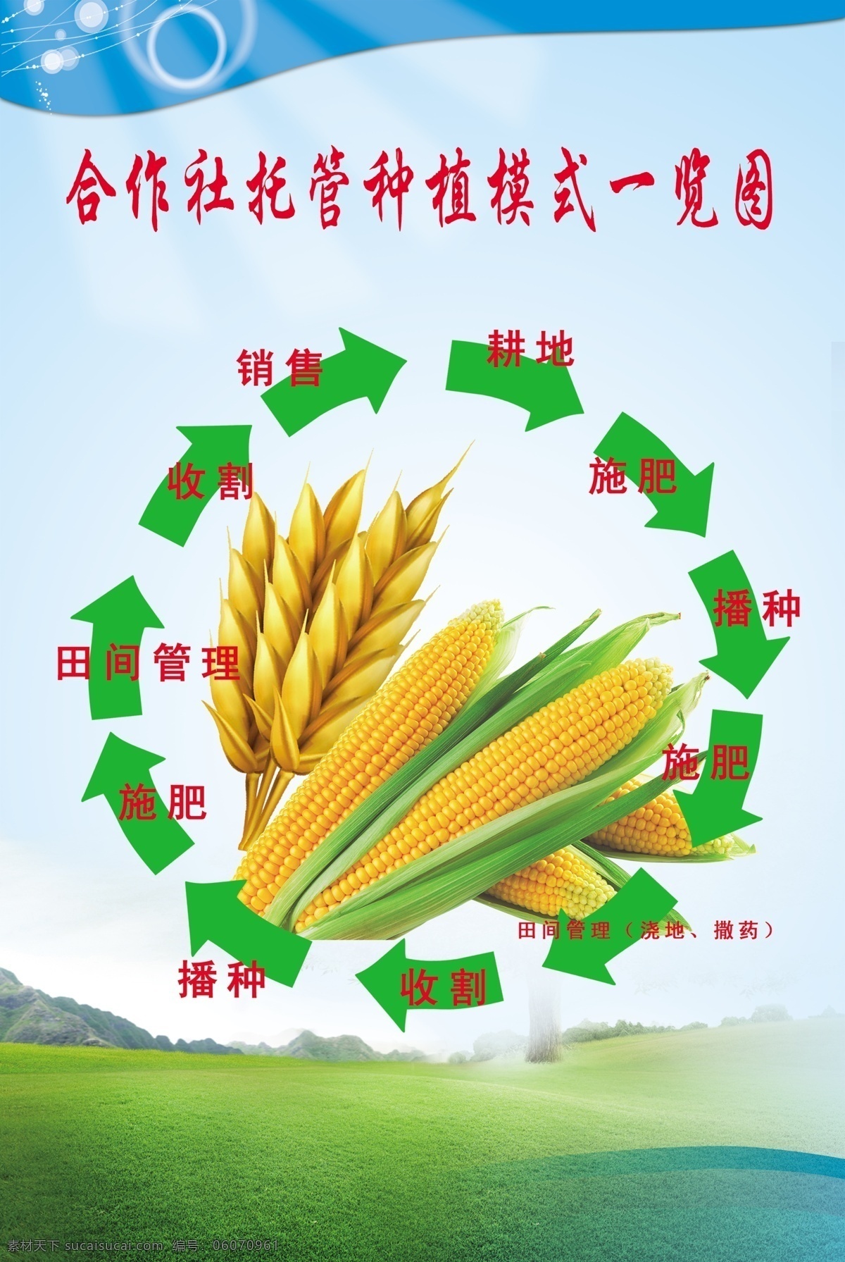 托管 合作社 一览图 合作社托管图 循环图 农业合作社 农业 玉米 农业管理 分层