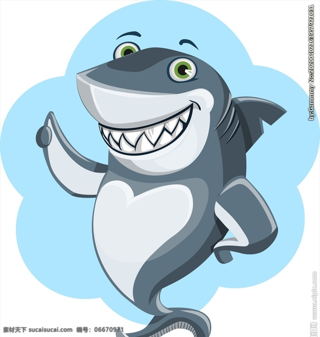 鲨鱼 动物 可爱 海洋 野生动物 捕食者 卡通设计