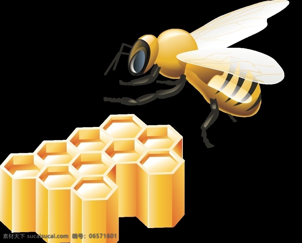 手绘蜜蜂 蜜蜂 一只蜜蜂 手绘 昆虫 蜂巢 蜂王 蜂蜜 生物世界 装饰画 卡通 壁纸 壁纸设计 移门图案 清新 蜜蜂墙纸 动漫动画