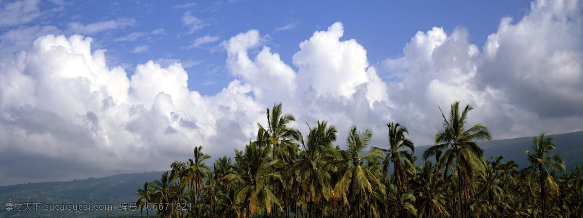 海南 五指山区 一景 棕榈树 树林 山坡 零星房屋 蓝天白云 景观 景点 旅游随拍 建筑风光 旅游摄影 国内旅游