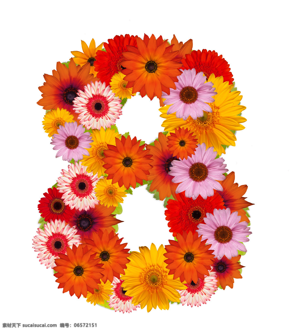 鲜花 组成 数字 艺术字 创意 数字8 花环 花朵 节日庆典 生活百科