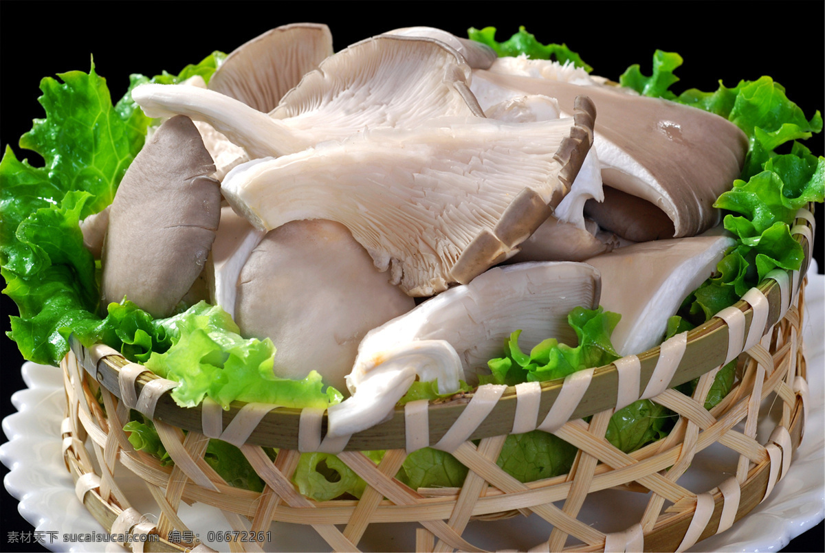 平菇 美食 传统美食 餐饮美食 高清菜谱用图