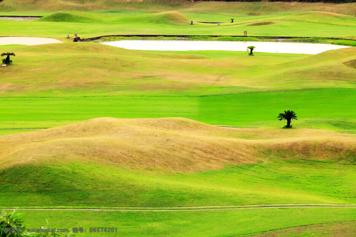 高尔夫球场 草坪 草地 绿地 美丽风景 高尔夫俱乐部 自然风景 自然景观 绿色